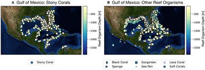 The Future of Reef Ecosystems in the Gulf of Mexico: Insights From Coupled Climate Model Simulations and Ancient Hot-House Reefs